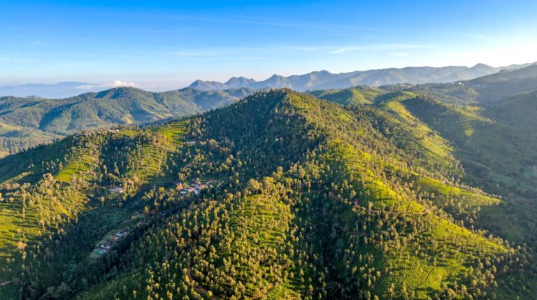 header section image