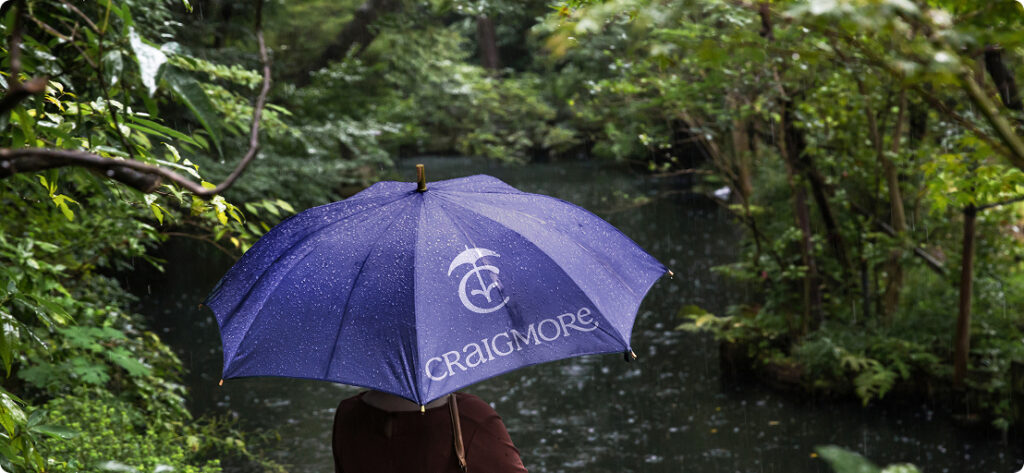 umbrella